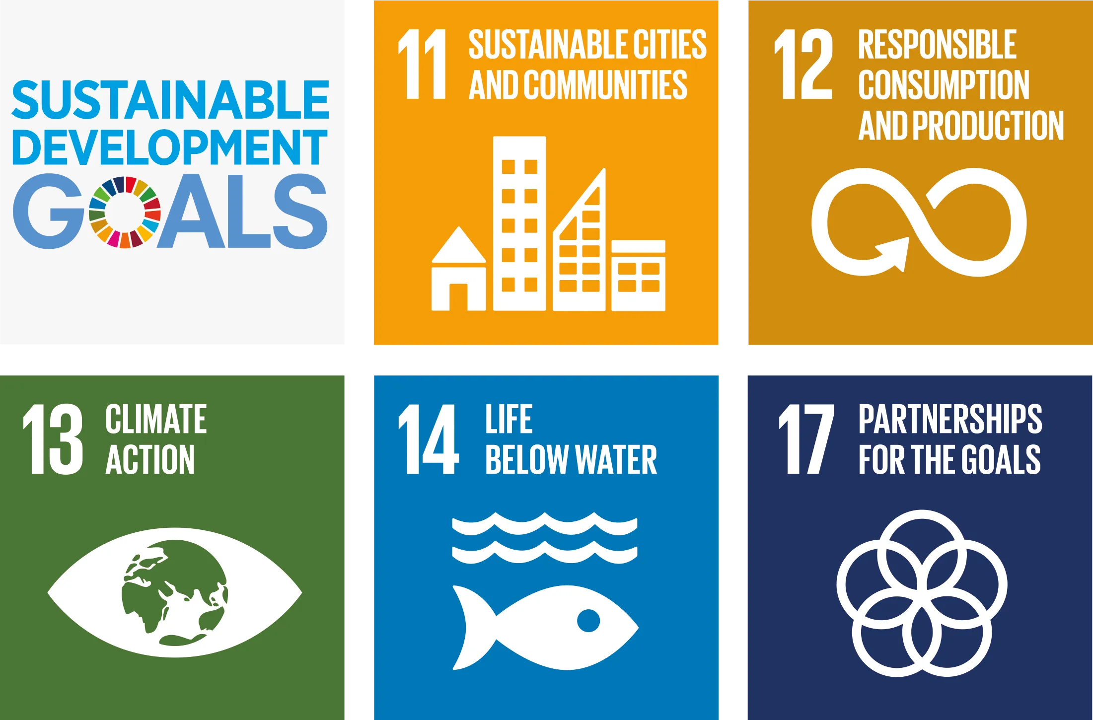 about.card2.united_nations_sustainable_development_goals